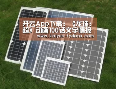 开云App下载